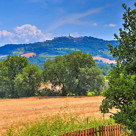Le Rose 4 *